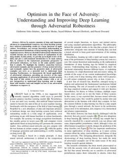 Optimism in the Face of Adversity: Understanding and Improving Deep
  Learning through Adversarial Robustness