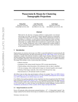 Wasserstein K-Means for Clustering Tomographic Projections