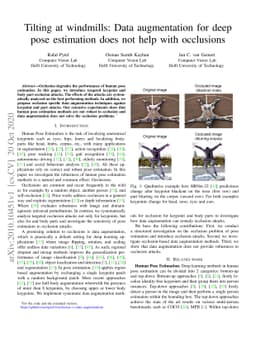 Tilting at windmills: Data augmentation for deep pose estimation does
  not help with occlusions