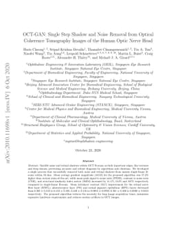 OCT-GAN: Single Step Shadow and Noise Removal from Optical Coherence
  Tomography Images of the Human Optic Nerve Head
