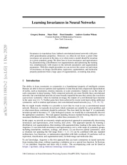Learning Invariances in Neural Networks