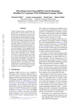 When Being Unseen from mBERT is just the Beginning: Handling New
  Languages With Multilingual Language Models