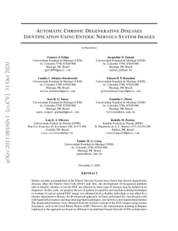 Automatic Chronic Degenerative Diseases Identification Using Enteric
  Nervous System Images