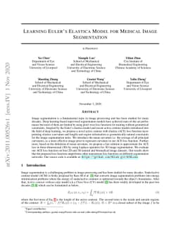 Learning Euler's Elastica Model for Medical Image Segmentation
