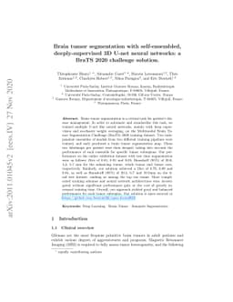 Brain tumor segmentation with self-ensembled, deeply-supervised 3D U-net
  neural networks: a BraTS 2020 challenge solution