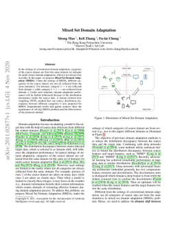 Mixed Set Domain Adaptation