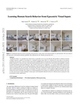 Learning Human Search Behavior from Egocentric Visual Inputs