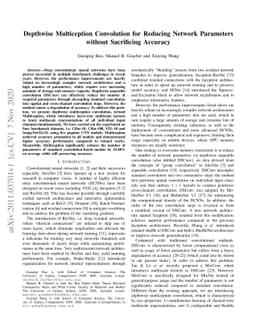 Depthwise Multiception Convolution for Reducing Network Parameters
  without Sacrificing Accuracy
