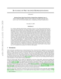 Bi-tuning of Pre-trained Representations