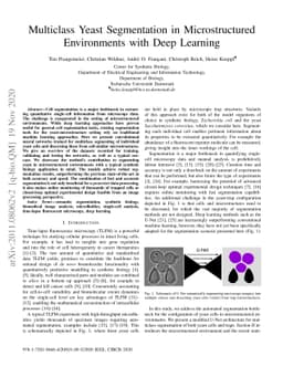Multiclass Yeast Segmentation in Microstructured Environments with Deep
  Learning