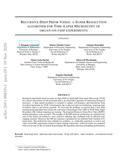 Recursive Deep Prior Video: a Super Resolution algorithm for Time-Lapse
  Microscopy of organ-on-chip experiments