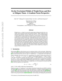 On the Overlooked Pitfalls of Weight Decay and How to Mitigate Them: A
  Gradient-Norm Perspective