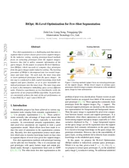 BiOpt: Bi-Level Optimization for Few-Shot Segmentation