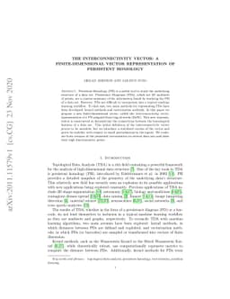 The Interconnectivity Vector: A Finite-Dimensional Vector Representation
  of Persistent Homology