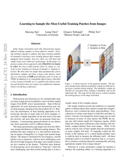 Learning to Sample the Most Useful Training Patches from Images