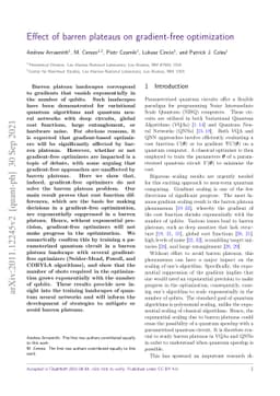 Effect of barren plateaus on gradient-free optimization