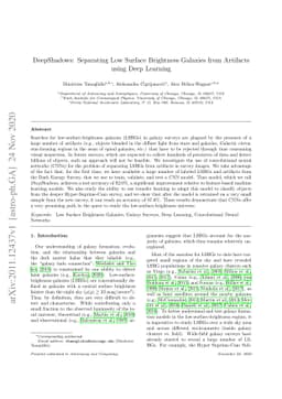 DeepShadows: Separating Low Surface Brightness Galaxies from Artifacts
  using Deep Learning