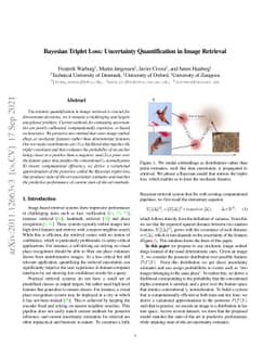 Bayesian Triplet Loss: Uncertainty Quantification in Image Retrieval