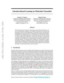 Attention-Based Learning on Molecular Ensembles
