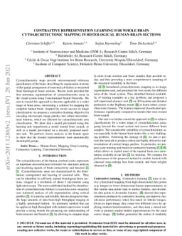 Contrastive Representation Learning for Whole Brain Cytoarchitectonic
  Mapping in Histological Human Brain Sections
