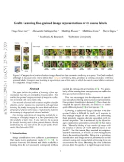 Grafit: Learning fine-grained image representations with coarse labels