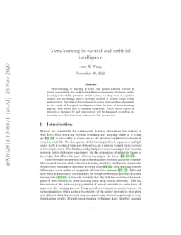 Meta-learning in natural and artificial intelligence