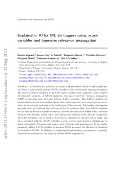 Explainable AI for ML jet taggers using expert variables and layerwise
  relevance propagation