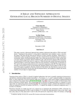 A Sheaf and Topology Approach to Generating Local Branch Numbers in
  Digital Images