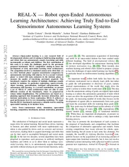 REAL-X -- Robot open-Ended Autonomous Learning Architectures: Achieving
  Truly End-to-End Sensorimotor Autonomous Learning Systems
