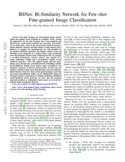 BSNet: Bi-Similarity Network for Few-shot Fine-grained Image
  Classification