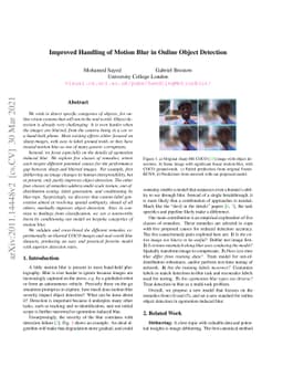 Improved Handling of Motion Blur in Online Object Detection