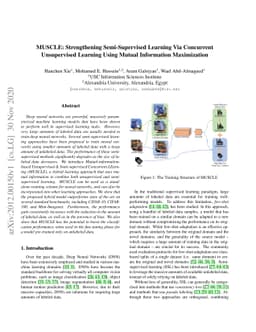 MUSCLE: Strengthening Semi-Supervised Learning Via Concurrent
  Unsupervised Learning Using Mutual Information Maximization