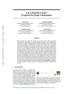 Is It a Plausible Colour? UCapsNet for Image Colourisation