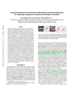 Interpreting Deep Neural Networks with Relative Sectional Propagation by
  Analyzing Comparative Gradients and Hostile Activations