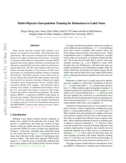 Multi-Objective Interpolation Training for Robustness to Label Noise