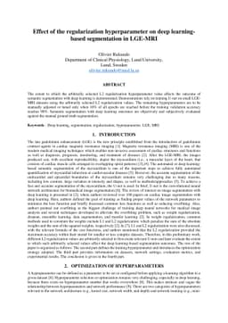 Effect of the regularization hyperparameter on deep learning-based
  segmentation in LGE-MRI