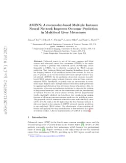 AMINN: Autoencoder-based Multiple Instance Neural Network Improves
  Outcome Prediction of Multifocal Liver Metastases