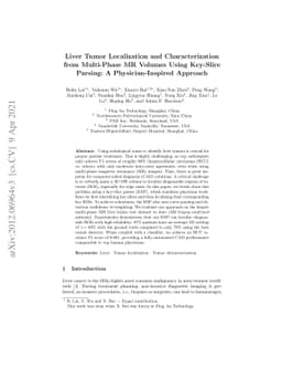 Fully-Automated Liver Tumor Localization and Characterization from
  Multi-Phase MR Volumes Using Key-Slice ROI Parsing: A Physician-Inspired
  Approach
