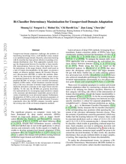 Bi-Classifier Determinacy Maximization for Unsupervised Domain
  Adaptation