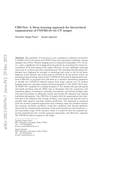 CHS-Net: A Deep learning approach for hierarchical segmentation of
  COVID-19 infected CT images