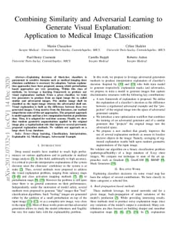 Combining Similarity and Adversarial Learning to Generate Visual
  Explanation: Application to Medical Image Classification