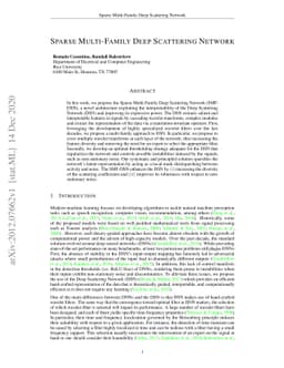Sparse Multi-Family Deep Scattering Network