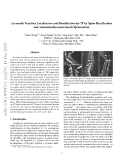 Automatic Vertebra Localization and Identification in CT by Spine
  Rectification and Anatomically-constrained Optimization