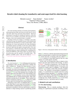 Iterative label cleaning for transductive and semi-supervised few-shot
  learning
