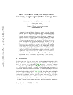 Does the dataset meet your expectations? Explaining sample
  representation in image data