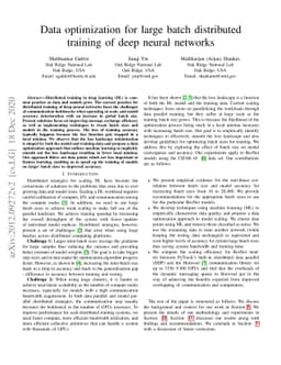 Data optimization for large batch distributed training of deep neural
  networks