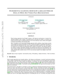 Incremental Learning from Low-labelled Stream Data in Open-Set Video
  Face Recognition