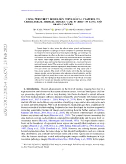 Using Persistent Homology Topological Features to Characterize Medical
  Images: Case Studies on Lung and Brain Cancers