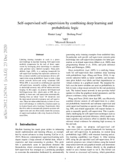 Self-supervised self-supervision by combining deep learning and
  probabilistic logic