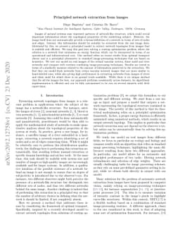Principled network extraction from images